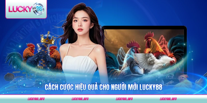 Cách cược hiệu quả cho người mới LUCKY88 dễ áp dụng